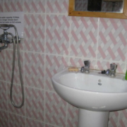 Agapanthus bathroom